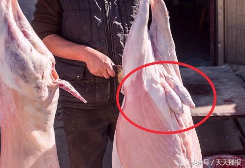 农村大集上的羊蛋羊鞭是男人最爱,你知道营养价值吗?