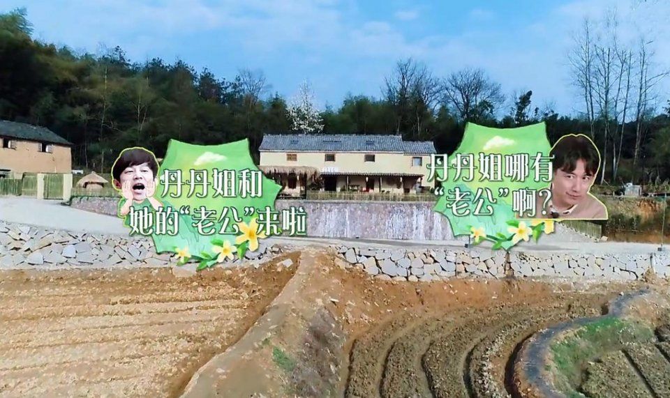 《向往的生活》宋丹丹是离婚状态?黄磊一句话