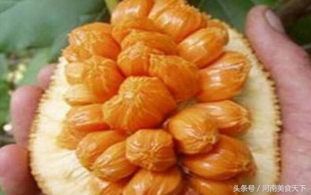 富人才经常吃的4种水果,你认识种,第3种最适合