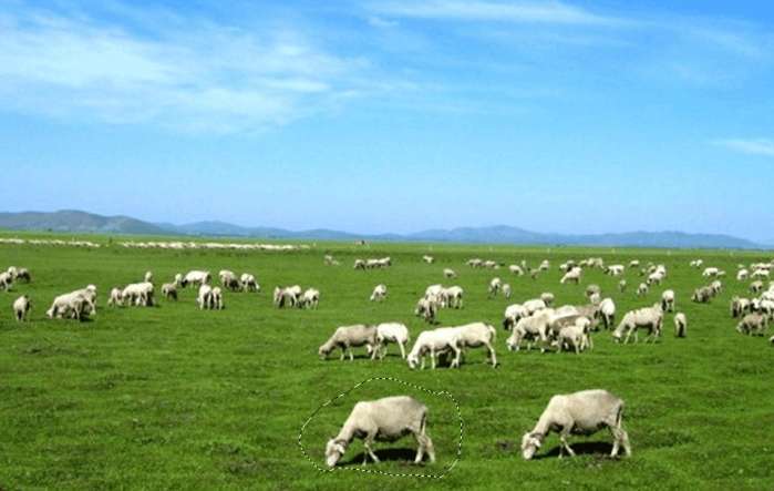 photoshop内容感知移动工具使用方法