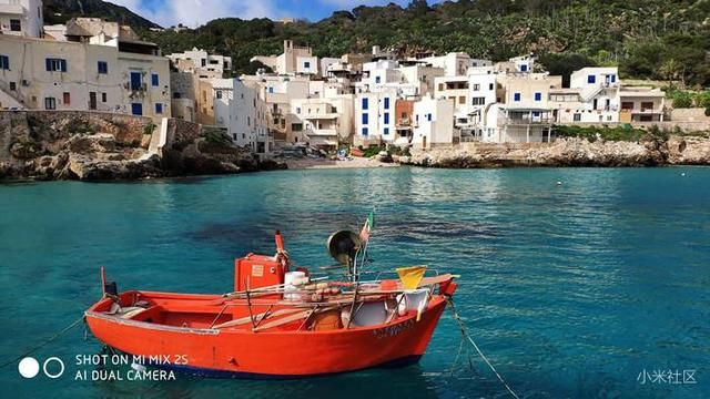 当拍照遇上AI,小米AI场景识别相机,你是怎么玩