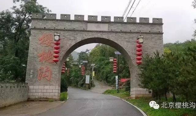 宁晓川、王娟同牵樱桃沟 破解销售难题 宁晓川、王娟同牵樱桃沟 破解销售难题