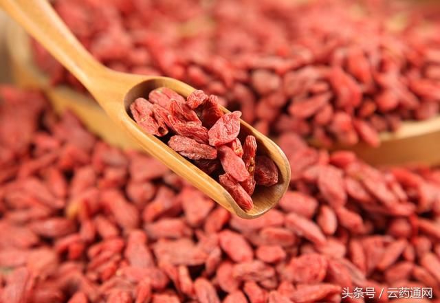 黑枸杞和红枸杞的区别,到底是吃红枸杞还是黑枸杞