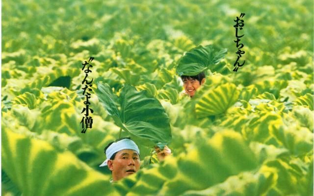 那年八岁:中国版菊次郎的夏天?