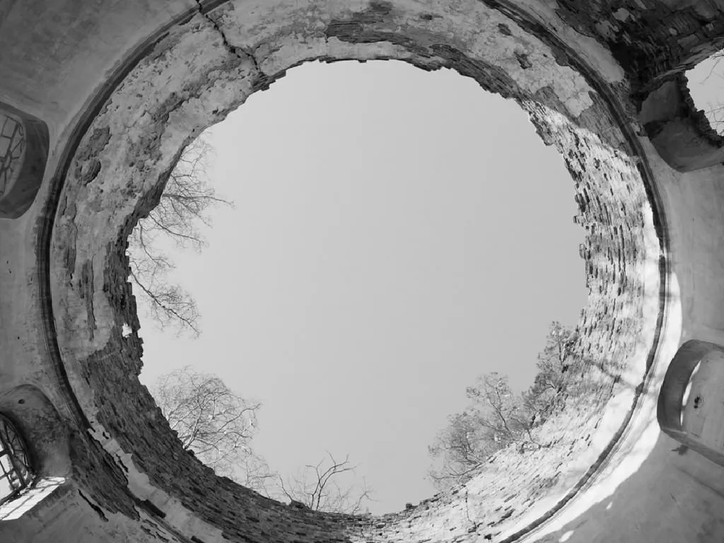 席卷欧洲电影奖五项殊荣,亮相戛纳又冲奥斯卡