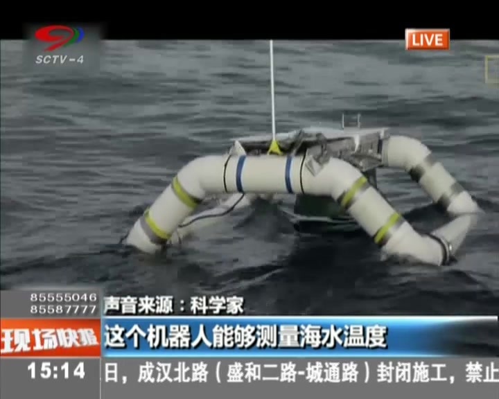 南太平洋：惊人！  海底火山周围存在鲨鱼