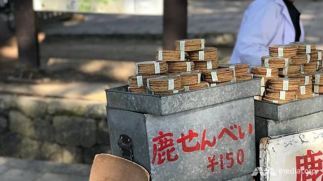 日本奈良公园因发生数百个被鹿咬案件后发出警