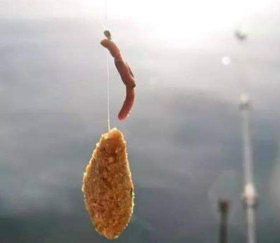 钓鱼还直接将蚯蚓挂钩上?难怪总是钓不到大鱼