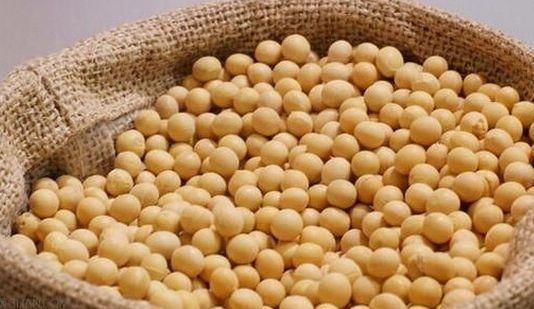 中美贸易战,苦了美国农民,这几国的农民却笑开