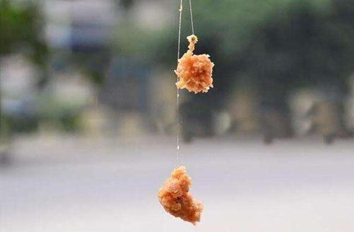 新手钓鱼入门的基本功,勤加练习中鱼 so easy!