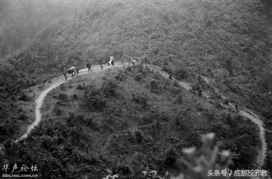 致敬无名英雄们:132张高清图片还原老山战役喋