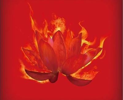 洪荒十大防御至宝,九个与创世青莲有关,最强的