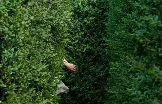 不要试图去改变别人,无论有多喜欢