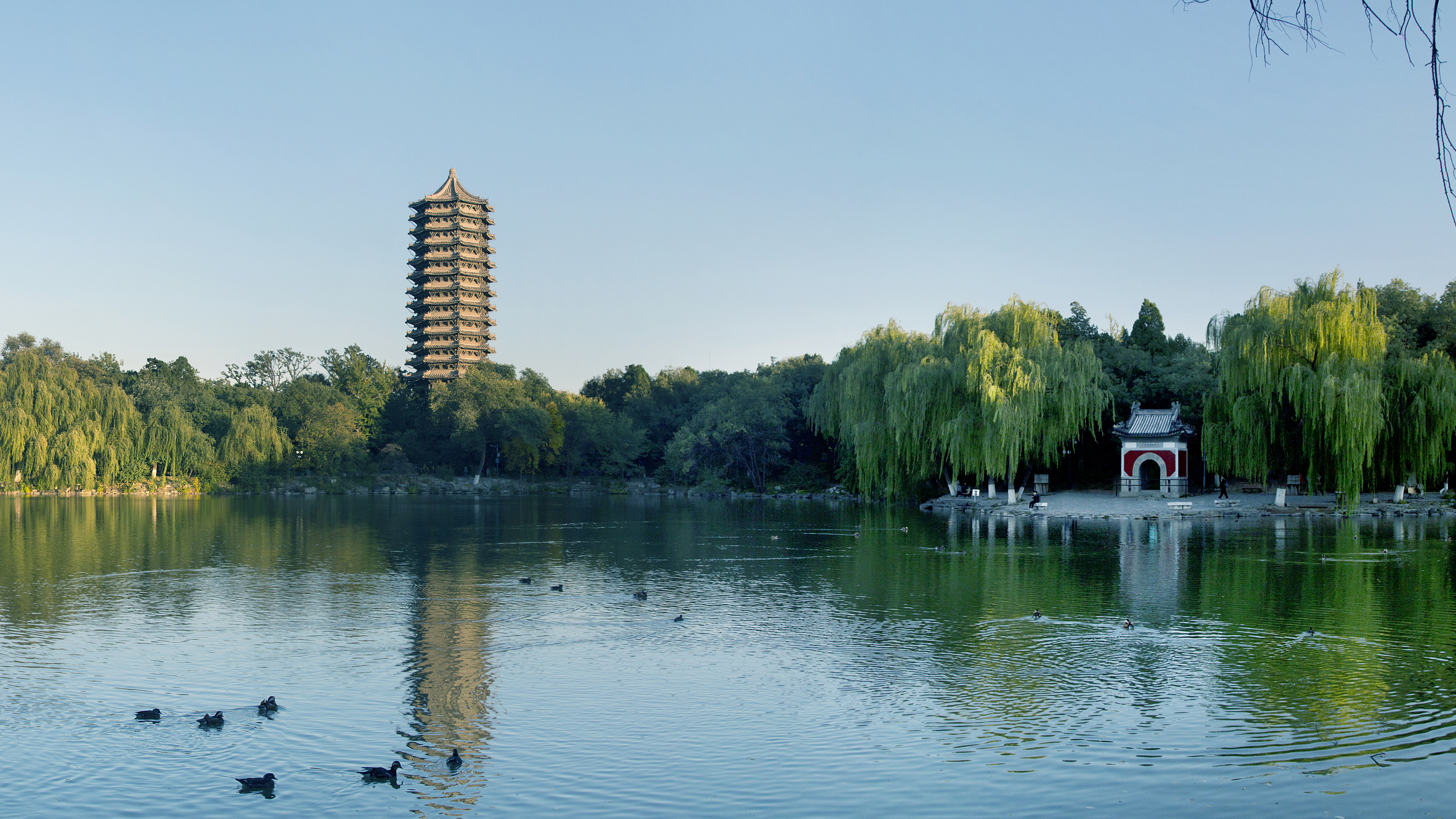 刚开放校园参观就有研学团违规入校,北大停止多人预约权限 刚开放校园参观就有研学团违规入校,北大停止多人预约权限