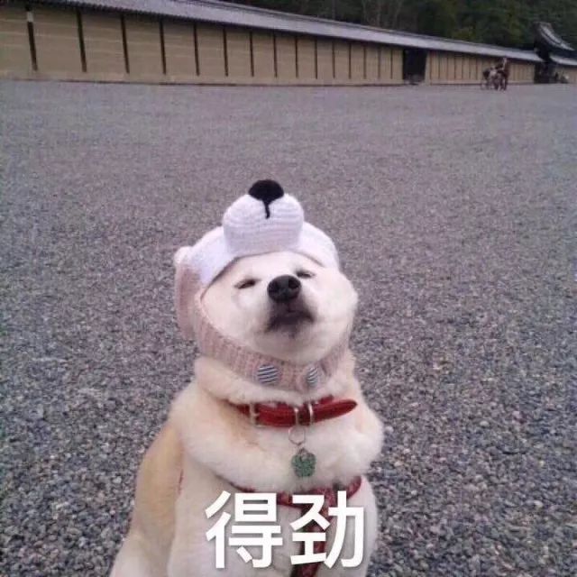 RUC外院54文化节微电影剧本征集!