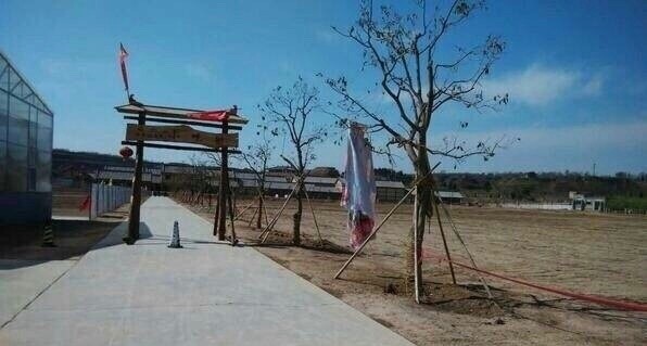 陕西礼泉县一旅游项目涉嫌非法占地 国土局称