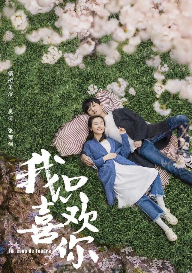 2018即将上映的电视剧,哪部是你的菜,里面有那