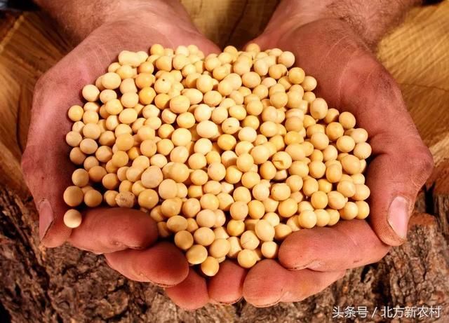 2018年粮食补贴发放时间定了!快来了解一下!