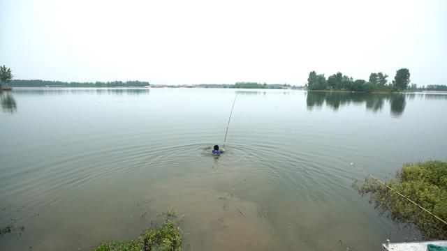 钓中国钓手遭遇超级鱼王:重达150斤,6次被拉下水