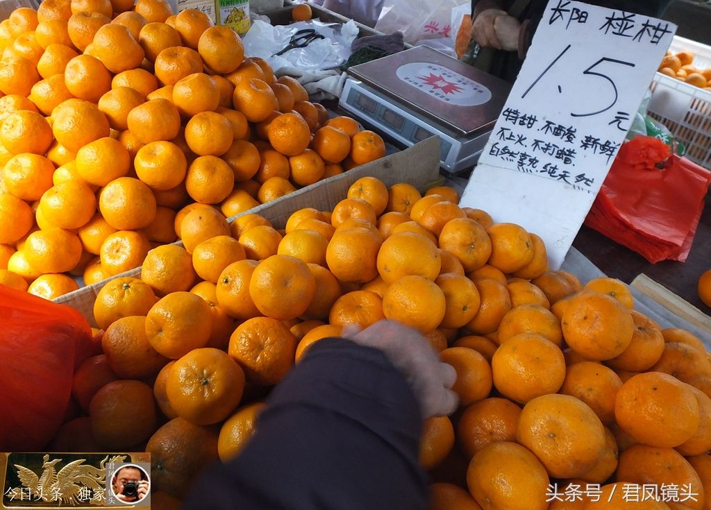湖北宜昌:菜市场商家卖椪柑,价格亲民!吃椪柑会