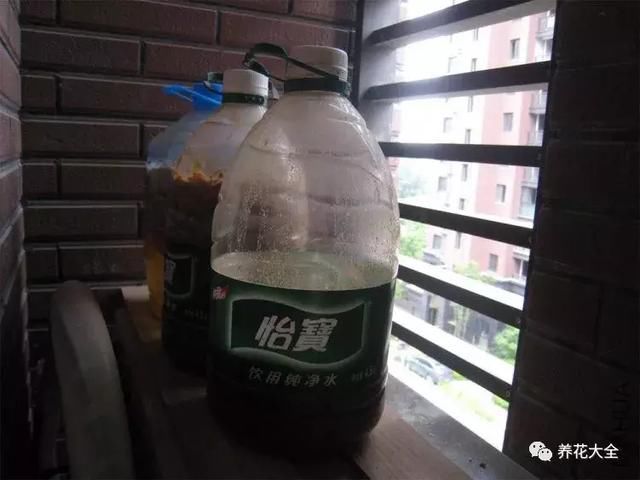 香蕉皮烂葡萄…丢盆里,花像吃了药,开花刹不住