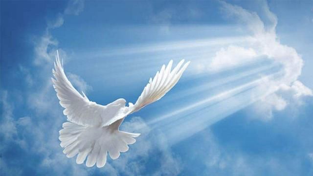 践行公益 建行上海市分行推出智善公益慈善平