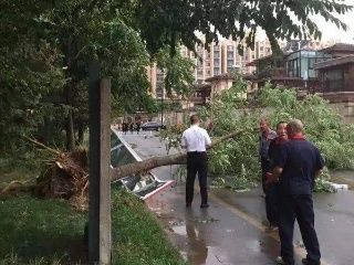 开车的人都不喜欢骑电动车的?看完这些图你就