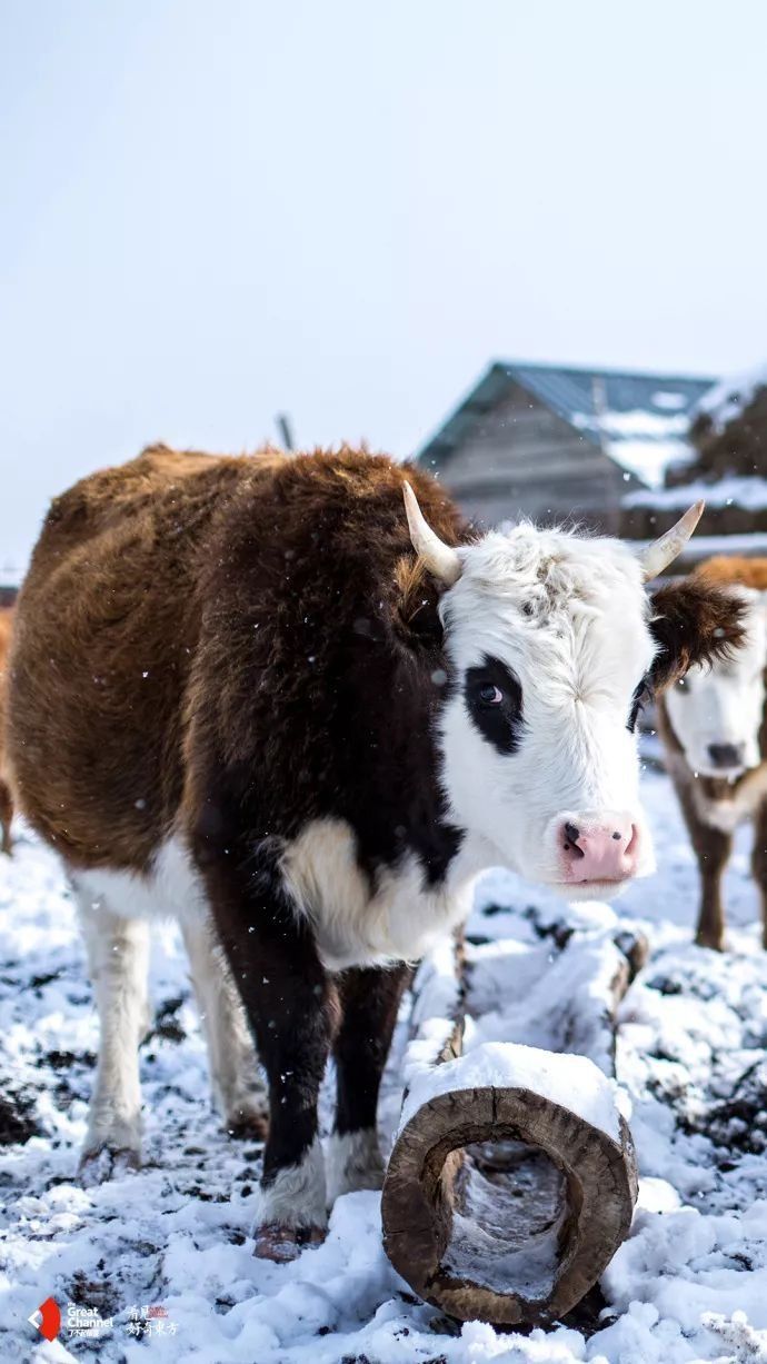 豆瓣评分8.9,中国这些了不起的村落,正在慢慢消