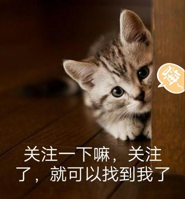 首播就破亿的电视剧《人生若如初相见》官方主