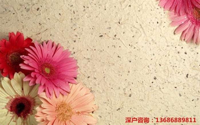 2017深圳核准制入户细则