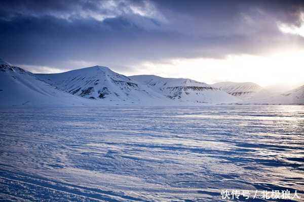 解读红楼梦的真正结局,由元春之死引出的贾府