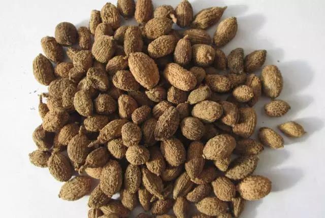 2018北京食品饮料展|健胃好食材(图3) 2018北京食品饮料展|健胃好食材(图3)