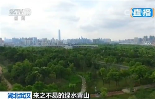【来之不易的绿水青山】湖北武汉 园博园:生态治理 垃圾场变公园 【来之不易的绿水青山】湖北武汉 园博园:生态治理 垃圾场变公园