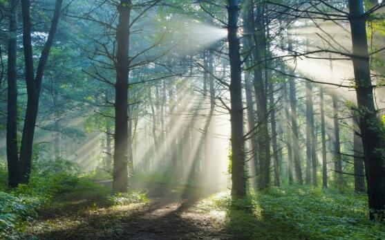 极品段子 逗人开心的幽默笑话段子大全