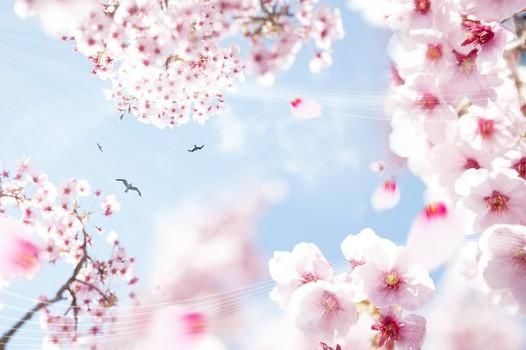 大姨妈走后排卵期白带带血丝是怎么回事?日常