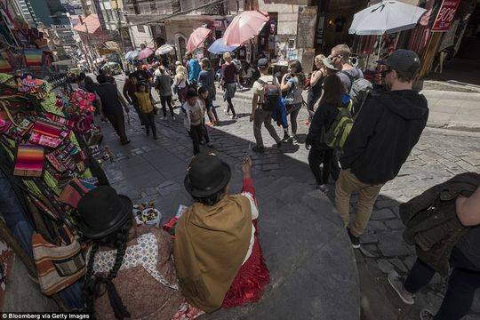 羊驼胎儿、干青蛙 玻利维亚女巫市场售卖邪恶