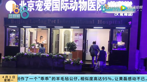 狗眼看人心 疑似曝光了宠爱国际动物医院 中国资讯网