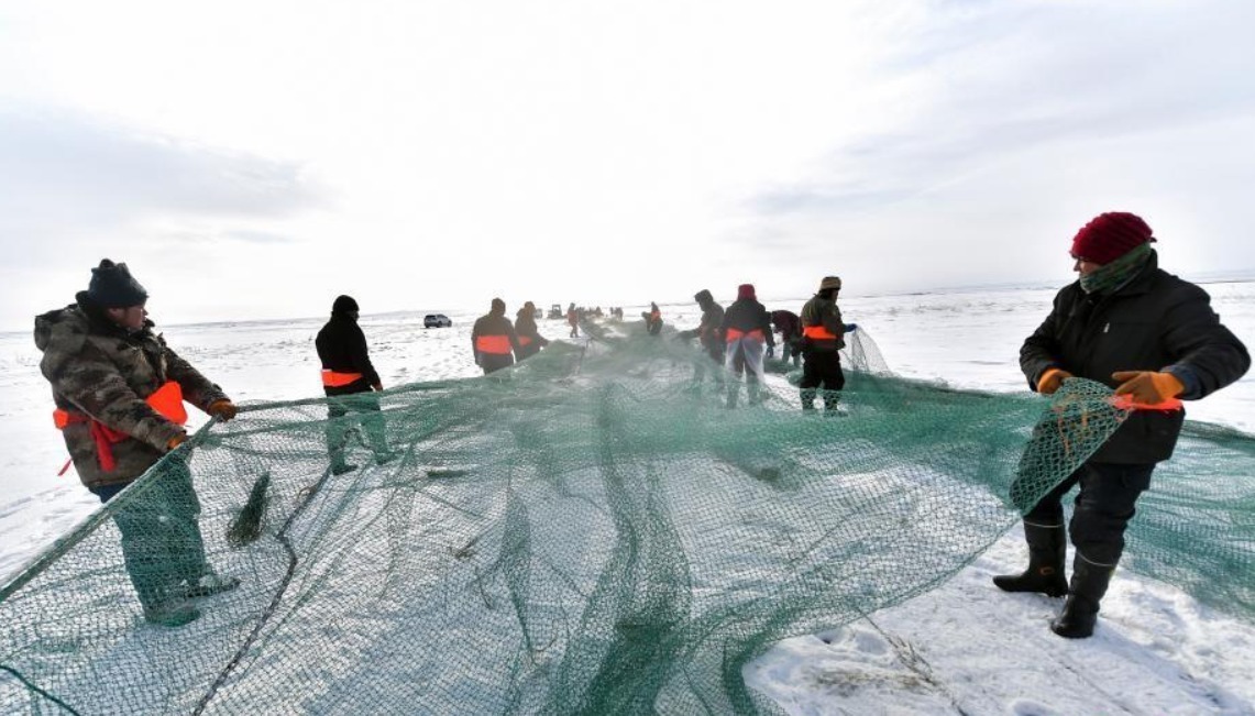 新疆乌伦古湖冬季冰上大拉网捕鱼启幕