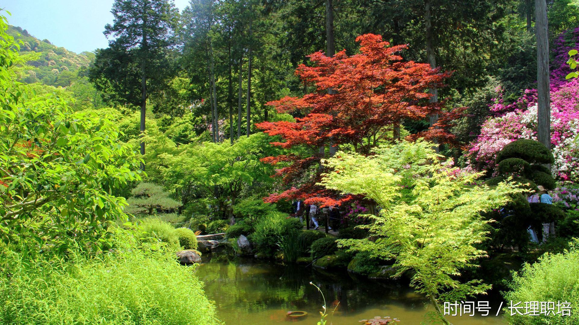 国家电网2018招聘丹东的3个志愿如何填报