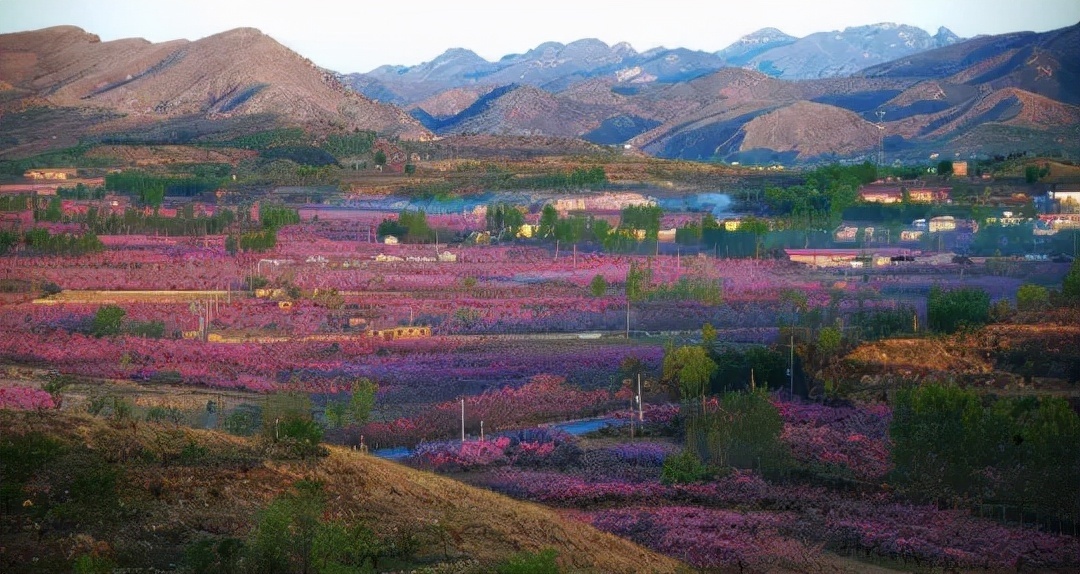 保定市顺平县获评"河北省森林城市"称号