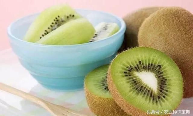猕猴桃不能和什么一起吃?猕猴桃和什么一起榨
