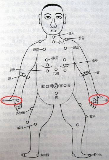 金匮是在人胸部侧面至腋下的位置,也称之为财库