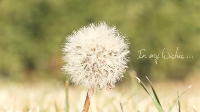 考教师资格证应该注意的事项,非师范生也可考