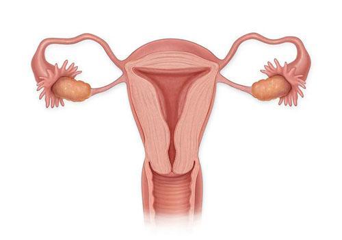 备孕1年没怀上,需要做输卵管造影吗?