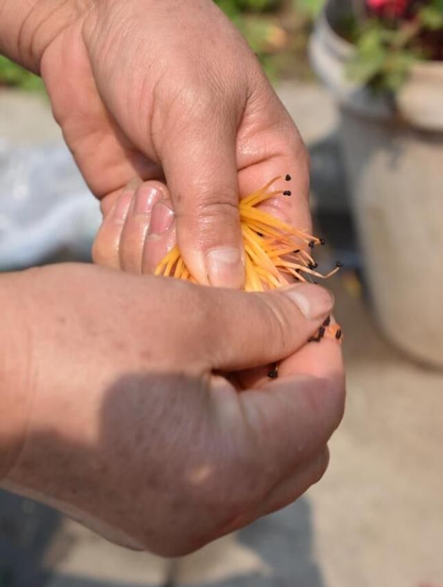 四川人均GDP超过成都的城市 还是全国唯一以