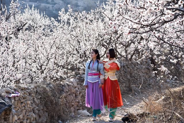 落实乡村振兴战略 济宁市启动百万市民游乡村