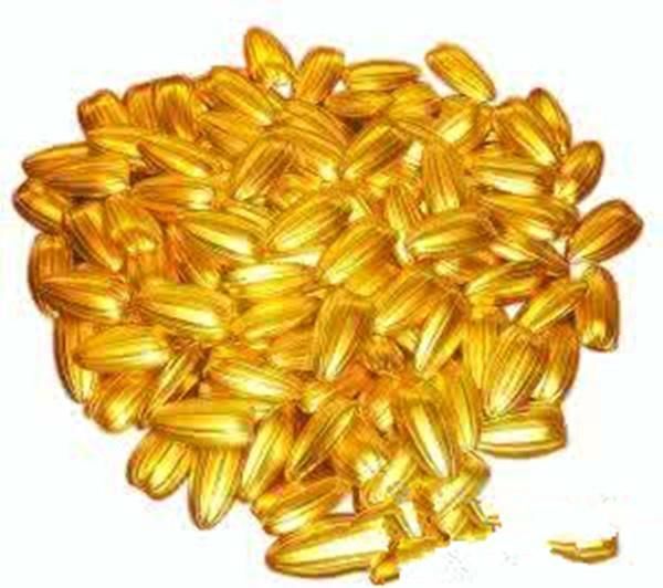 救活了老乞丐,还送了三颗金瓜子,乞丐说了三句