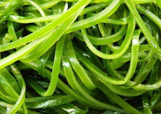 多吃海带好处多,但医生说:这几种人最好别吃,别