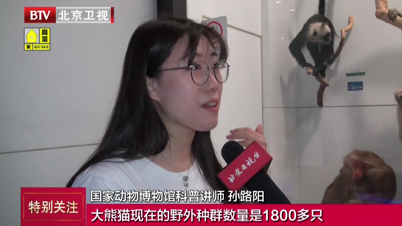 国家动物博物馆：看中国特有野生动物