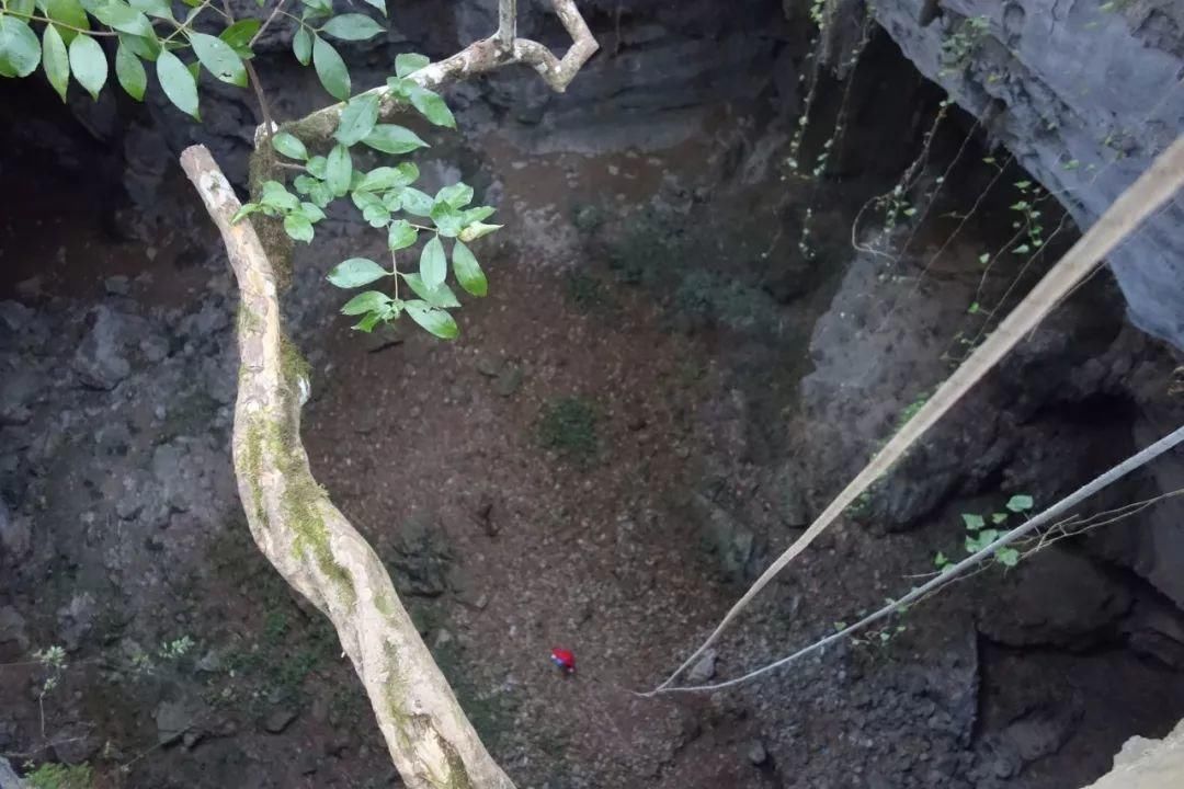 小学生寒假活动感受怎么写?这名小学五年级学